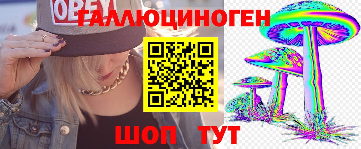 Галлюциногенные грибы Psilocybe Моршанск