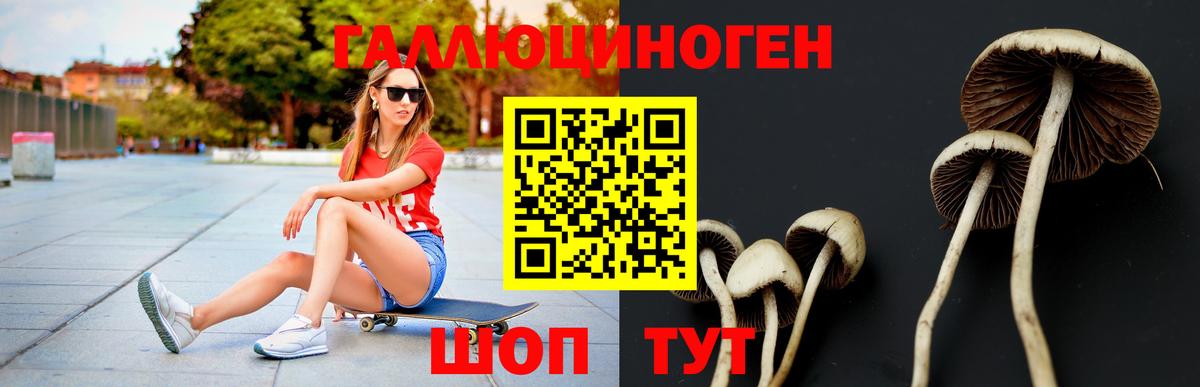 Моршанск  Псилоцибиновые грибы Cubensis  Псилоцибиновые грибы Magic Shrooms  Вход с VPN 